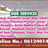 skylake solution business card